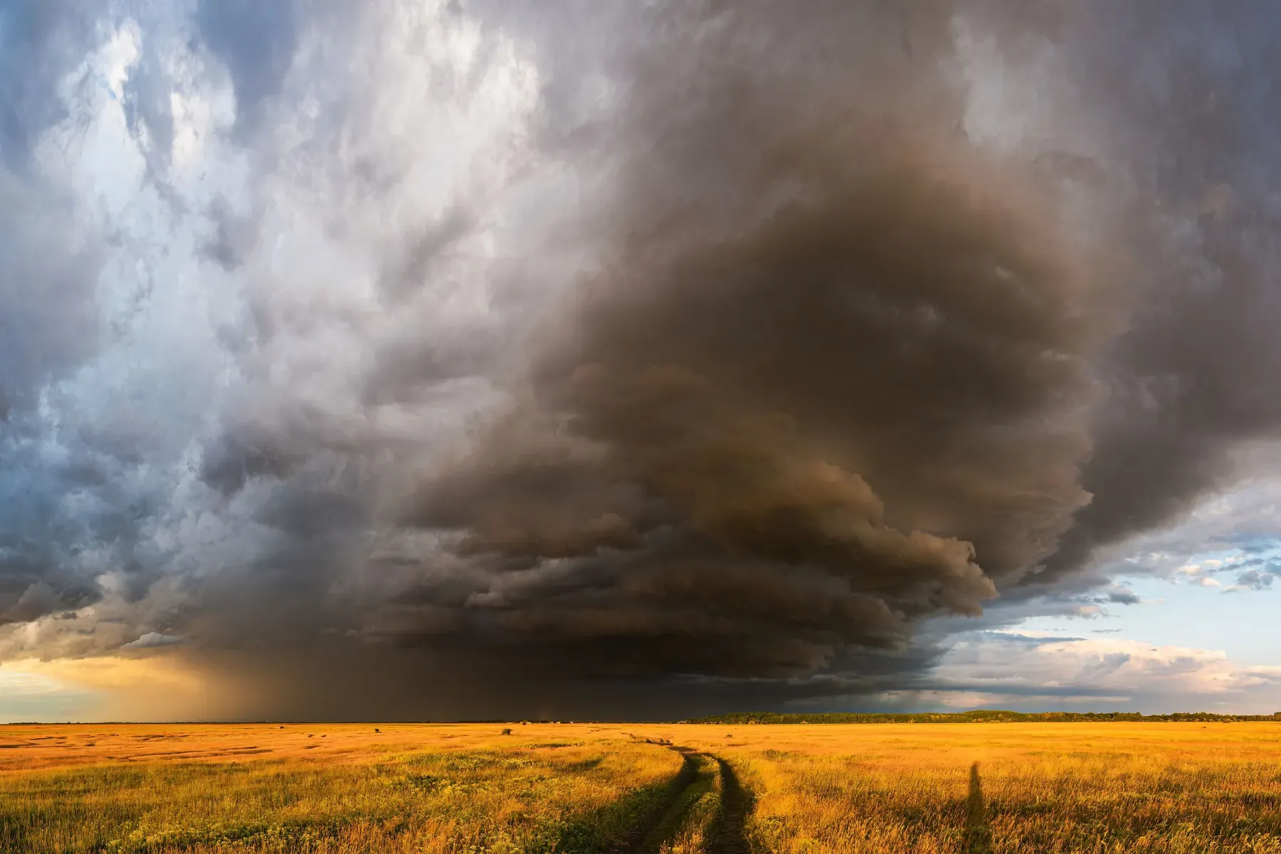 Een donkere wolkenrand schuift boven een zonverlicht veld